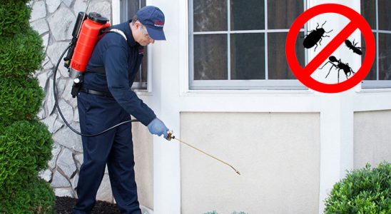 Tire Akrep İlaçlama böcek ilaçlama ve haşere kontrolü — ilaclama-tr.com